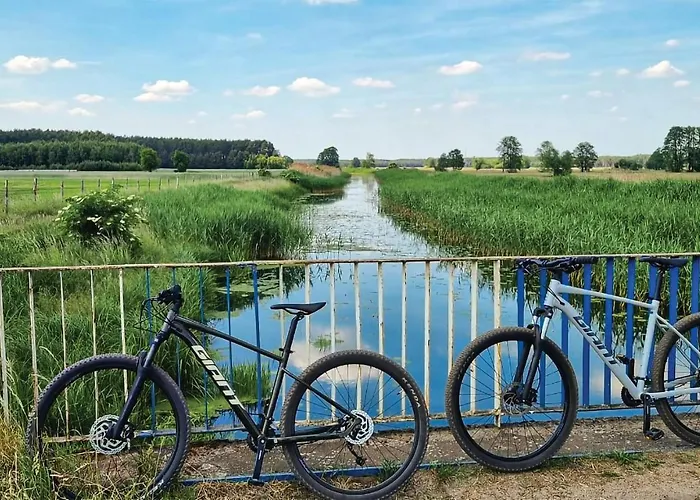 Prázdninový dům Beautiful In With Wifi Wilcze (Greater Poland)